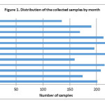 Figure 1. Distribution of the collected samples by month