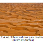 Fig. 2: A set Â¬of Kavir national park barchan dunes (Internet sources)