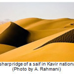 Fig. 3: sharp ridge of a saif in Kavir national park (Photo by A. Rahmani)