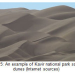 Fig. 5: An example of Kavir national park sand dunes (Internet sources)