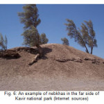 Fig. 6: An example of nebkhas in the far side of  Kavir national park (Internet sources)