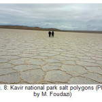 Fig. 8: Kavir national park salt polygons (Photo by M. Foudazi)