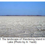 Fig. 9: The landscape of Wandering Island in Salt Lake (Photo by A. Yazdi)