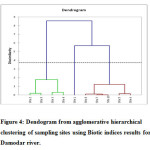 Figure 4: Dendogram from agglomerative hierarchical  clustering of sampling sites using Biotic indices results for  Damodar river.