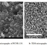 Figure 3 a- SEM micrographs of PCNR-150.	 b- TEM micrographs of PCNR-150.