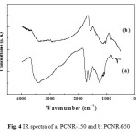 Fig. 4 IR spectra of a: PCNR-150 and b: PCNR-650