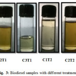 Figure 3: Biodiesel samples with different treatments