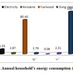 Fig. 3. Annual householdâ€™s energy consumption (%)