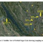 Figure 1: Satellite view of Gobind Sagar Lake showing sampling stations.