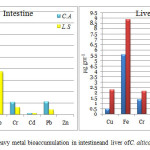 Fig.1 (a and b). Heavy metal bioaccumulation in intestineand liver ofC. alticola and L. smithi