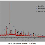 Fig. 4: XRD pattern of mix C1 at 28th day