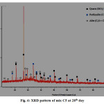 Fig. 6: XRD pattern of mix C5 at 28th day