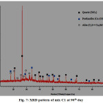 Fig. 7: XRD pattern of mix C1 at 90th day