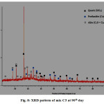 Fig. 8: XRD pattern of mix C3 at 90th day