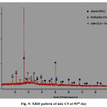 Fig. 9: XRD pattern of mix C5 at 90th day