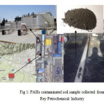 Fig 1: PAHs contaminated soil sample collected from  Rey Petrochemical Industry