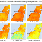 Fig.12  SST Map of Gulf of Mannar and Palk bay during March 2015 to May 2015