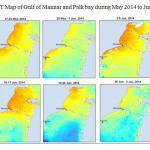 Fig. 7 SST Map of Gulf of Mannar and Palk bay during May 2014 to June 2014
