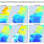 Fig. 8 SST Map of Gulf of Mannar and Palk bay during July 2014 to August 2014