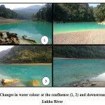 Figure 2: Changes in water colour at the confluence (1, 2) and downstream (3, 4) of Lukha River