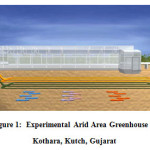 Figure 1:  Experimental Arid Area Greenhouse at  Kothara, Kutch, Gujarat
