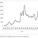 Fig. 2: Total fish catch in Pechiparai reservoir over the years (1962-2015)