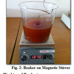 Fig. 2: Beaker on Magnetic Stirrer           