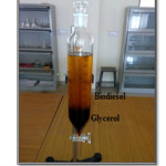 Fig. 3: Biodiesel-Glycerol separation