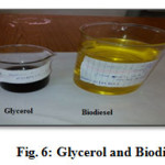 Fig. 6: Glycerol and Biodiesel