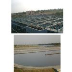 Figure 4 (a) View of UASB Reactors (b) Final Polishing Ponds