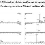 Fig-3: m/z values of LC-MS analysis of chlorpyrifos and its metabolites obtained from Staphylococcus sp. ES-2 culture grown from Mineral medium after 7 days of incubation
