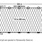 Fig.1. Design details of gill nets operated in Thirumoorthy Reservoir
