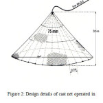 Figure 2: Design details of cast net operated in  Thirumoorthy Reservoir