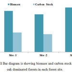 Fig.1 Bar diagram is showing biomass and carbon stock of oak dominated forests in each forest site.