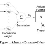 Figure 1: Schematic Diagram of Neurons