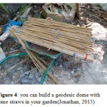 Figure 4: you can build a geodesic dome with some straws in your garden(Jonathan, 2015)