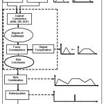 Figure 4  Schematic operation of Fuzzy Logic Model