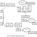 Fig. 1.0 Pangasius Supply Chain in India