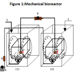 Figure 1:Mechanical bioreactor