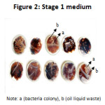 Figure 2: Stage 1 medium