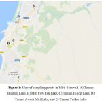 Figure 1: Map of sampling points in Miri, Sarawak. A) Taman Bulatan Lake, B) Miri City Fan Lake, C) Taman Hiltop Lake, D) Taman Awam Miri Lake, and E) Taman Tunku Lake.