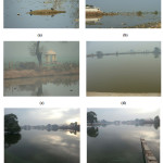 Photographs of study sites: Chilli Lake (a, b), Daulatpuria Pond (c, d) and  Bhodia Khera Temple Pond (e, f)