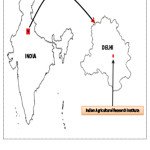 Fig.1: Experimental site of Indian Agricultural  Research Institute, New Delhi, India