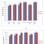 Fig.1: Precentage of removal of lead in dependence from (a) adsorbent dosage, 1g and 5g; and (b) from time, 30 min and 60 min.  