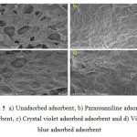 Fig 5  a) Unadsorbed adsorbent, b) Pararosaniline adsorbed  adsorbent, c) Crystal violet adsorbed adsorbent and d) Victoria  blue adsorbed adsorbent