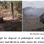 Figure  7:  Amputation  pit  for  disposal  of  pathological  waste  in  Menellik  II  hospital (A) and  â€œQosheâ€  unsanitary land fill site in Addis Ababa (B), February 2015.