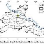 Fig. 1. Map of Agra district showing various blocks and the Yamuna River