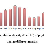 Fig. 1: Population density (Nos. L-1) of phytoplankton during different months.