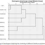 Fig. 4. Dendrogram depicting the clustering of different laterite ecosystems.