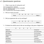 Figure 1. Questionnaire questions